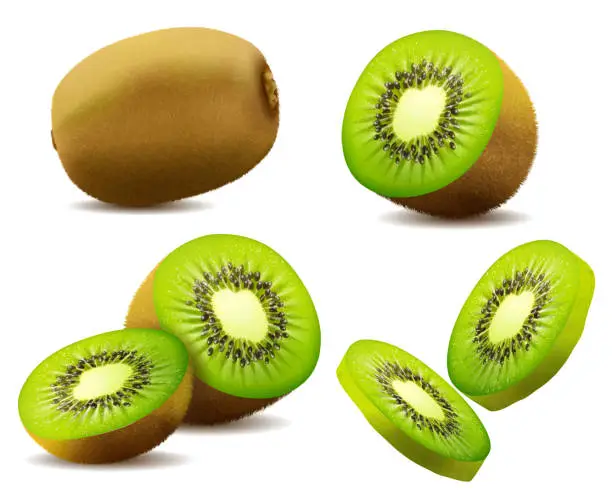 Vector illustration of Realistic kiwi. Juicy exotic whole fruit, half and slice . Fresh organic food for healthy eating. Ripe tropical berry for sweet dessert. vector design.
