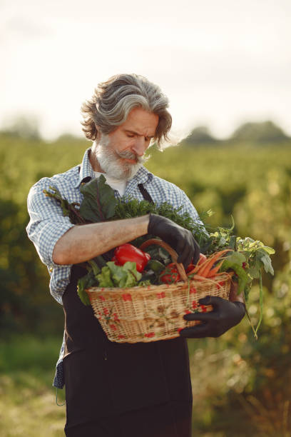 istock Senior with box vegetables garden background sunse 1306347427