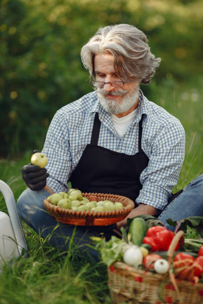 istock Senior with box vegetables garden background sunse 1306347541