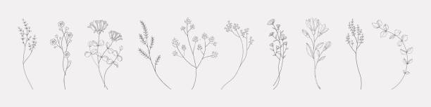 Flores Minimalistas - Banco de fotos e imágenes de stock - iStock Flores Minimalistas - Banco de fotos e imágenes de stock - iStock