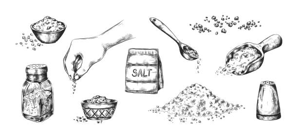 Hand drawn salt. Realistic saltcellar or bowl with salty seasoning. Heaps of powder and scoops with sodium crystals. Ingredient for cooking and conservation food. Vector sketches set Hand drawn salt. Realistic saltcellar or bowl with salty flavor seasoning. Heaps of powder and scoops with sodium crystals. Tradition ingredient for cooking and conservation food. Vector sketches set salt pile stock illustrations