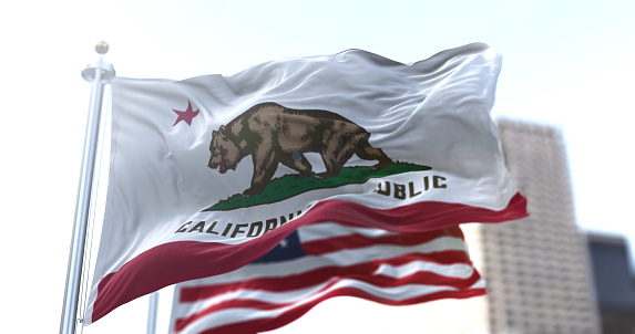 The California Republic flag with the grizzly bear Monarch flying along with the American national star-striped flag. Patriotism and freedom. American state of california