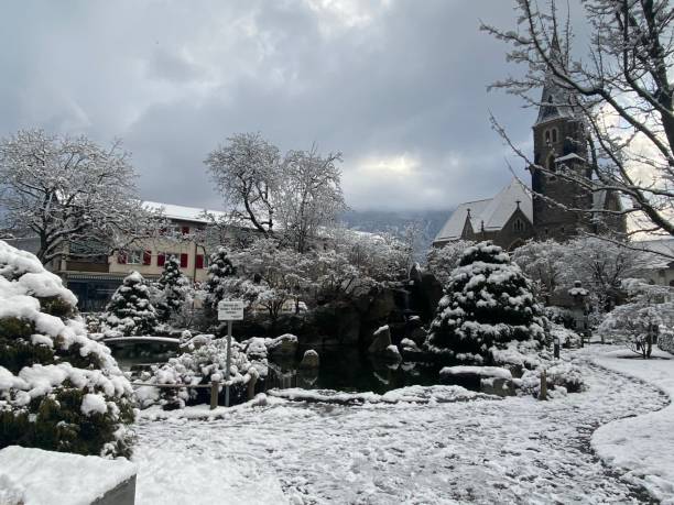 istock Snow in the city park 1306352864