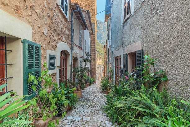 calle estrecha con plantas que decoran las fachadas de la localidad de fornalutx. - fornalutx majorca spain village fotografías e imágenes de stock