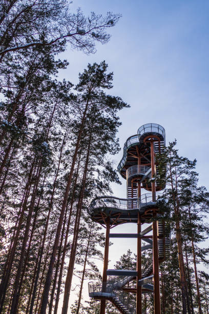 istock Watch Tower and Observation Tower in a Forest 1306357194