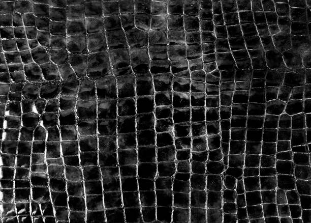 istock Crocodile or snake skin, reptile texture. Background 1306359070