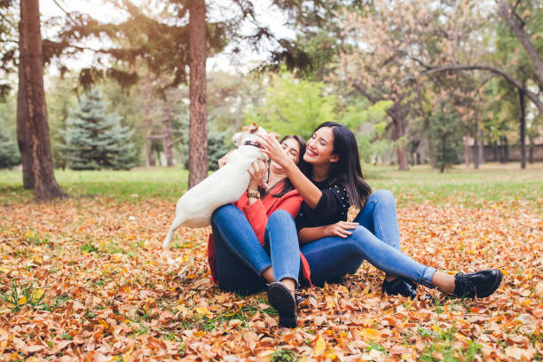istock Women playing with their dog in the park 1306362053