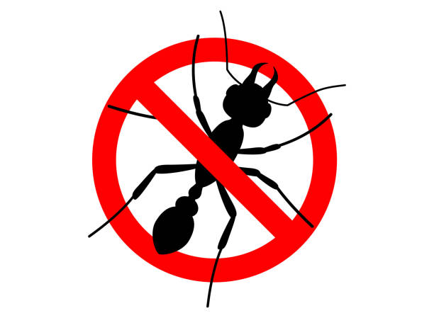 istock Warning sign no insect. Anti ant. No ants vector sign for insecticide. Prohibited sign. Symbol for informational and institutional sanitation and related care. Caution, Stop, Warning Flat vector sign 1306362554