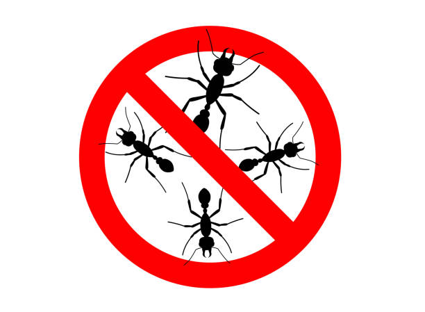 istock Warning sign no insect. Anti ant. No ants vector sign for insecticide. Prohibited sign. Symbol for informational and institutional sanitation and related care. Caution, Stop, Warning Flat vector sign 1306362559