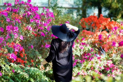 Selective focus.A girl in an elegant black dress and hat in a blooming azalea garden. View from the back. Spring concept, 8 March holiday