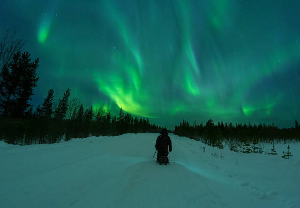 istock Hunt for the northern lights 1306363750