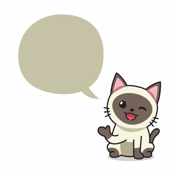 kuvapankkikuvitukset aiheesta sarjakuvahahmo siamilainen kissa puhekuplalla - siamese cat