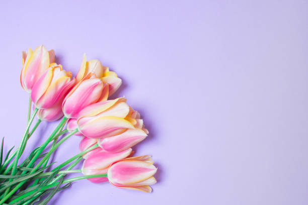 istock bouquet of tulips on purple background with copy space 1306368928