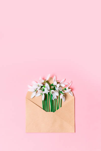 Opened craft paper envelope with spring blossom flowers on pink background. Flat lay, top view. Happy valentines day. Womens day. 8 of march. Mothers day.