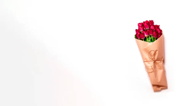 Bunch of fresh spring tulips on grey minimal background, copy space