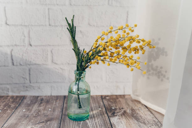istock a small bottle with mimosa on a brick wall background. spring concept 1306372610
