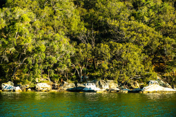 istock Hawkesbury River., NSW, Australia 1306373684