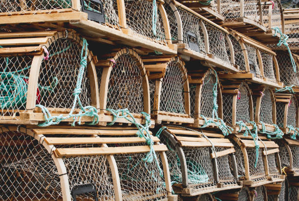 istock Wooden Lobster Pots 1306377548