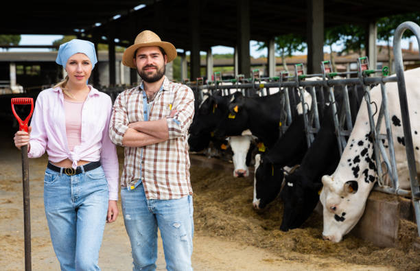 istock Owners of dairy farm standing in stall 1306378757