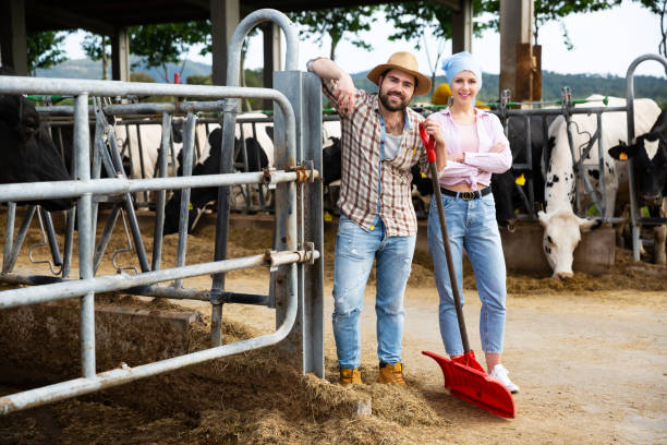 istock Two farmers posing on dairy farm 1306378763