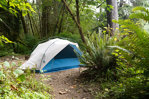 This is a photograph of a small tent setup at a rural dispersed campsite by the river in Olympic National Forest in Washington State.