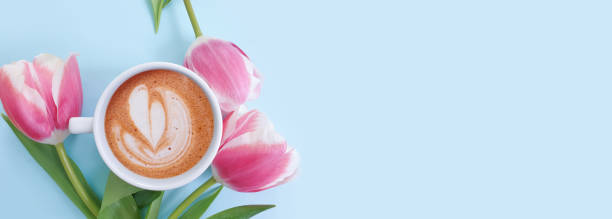 cup of coffee. tulip flower on colored background