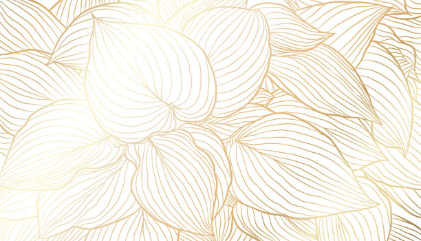 ilustraciones, imágenes clip art, dibujos animados e iconos de stock de hojas doradas dibujadas a mano arte de línea sobre fondo blanco - floral pattern decor art backgrounds