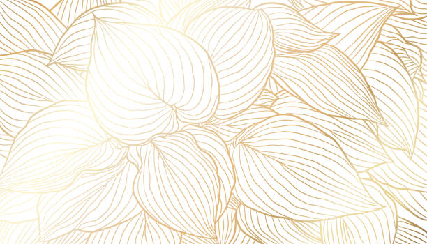 złote liście ręcznie rysowane grafiki liniowej na białym tle - gold leaf illustrations stock illustrations