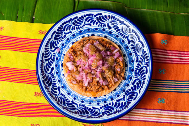 tostada, plat mexicain typique, à base de cochinita pibil - tostada photos et images de collection