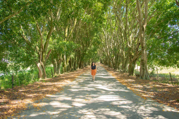 istock woman in the forest 1306388416