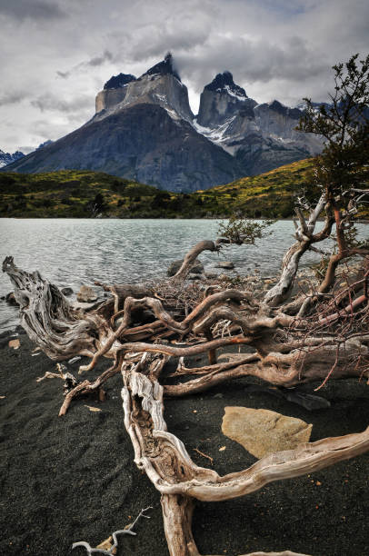 istock Patagonian wild landscape 1306389583
