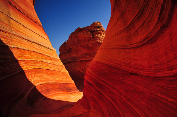 istock The Wave petrified dunes during sunrise 1306389587
