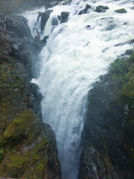 englishman river falls, colômbia britânica - englishman river falls - fotografias e filmes do acervo