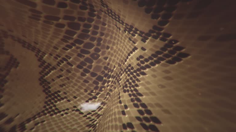 Snake skin background