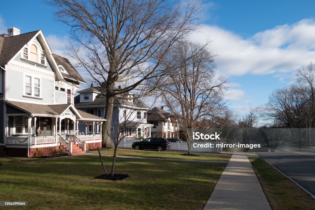 street and sidewalk of suburban homes with leafless late fall winter season trees suburban homes with trees that have dropped their leaves late fall-winter season walkway and street Bare Tree Stock Photo