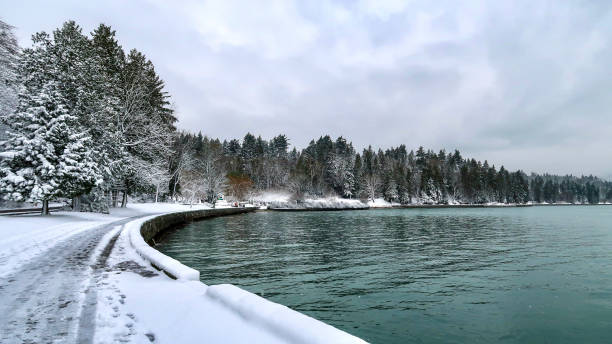 istock View to seawater and snow covered Stanley Park seawall path 1306399889