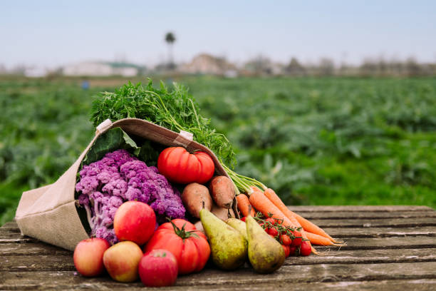 istock burlap bag with vegetables and fruits in a field 1306400627