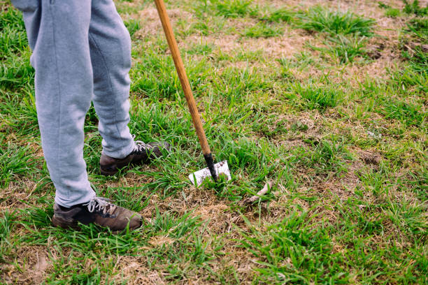 istock unrecognizable farmer tilling the land in a farm 1306400635