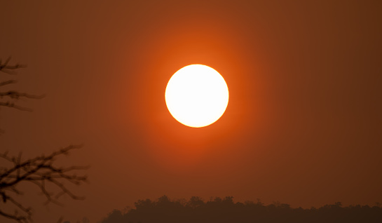 Sun on sunrise over hills background, golden colorful big sunny on sky background, blurred dark shadow tree of foreground