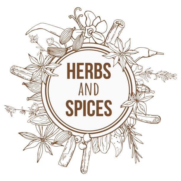 ilustrações de stock, clip art, desenhos animados e ícones de hand-drawing background with organic and natural sketch herbs and spices. - cardamom spice indian culture isolated