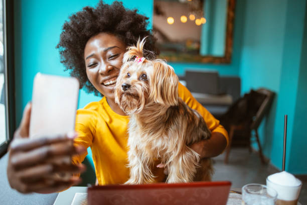 feliz mujer afroamericana con su perro en una cafetería se hace un selfie. - café bar fotos fotografías e imágenes de stock
