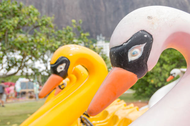 istock paddleboat from rodrigo de freitas lagoon in Rio de Janeiro 1306415467