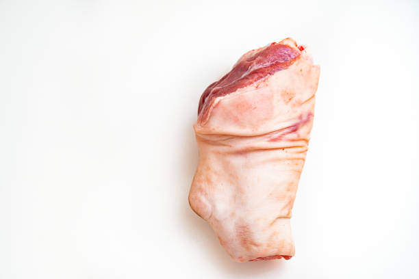 pork knuckle on a white background. raw meat for cooking. butcher shop.