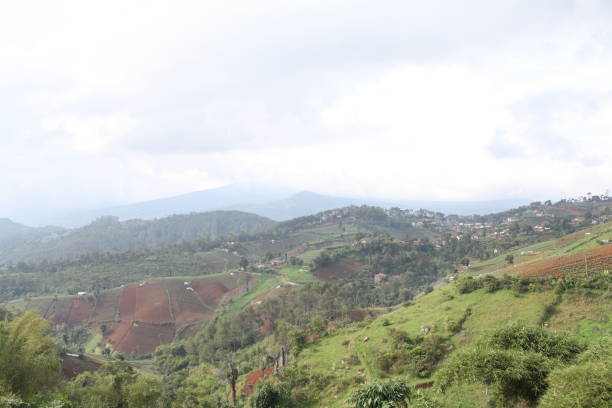 istock The bare mountains are planted with palawija 1306422141