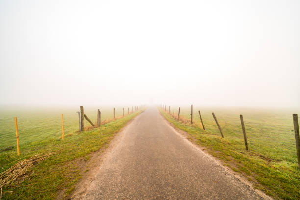 istock along the meadows there is a road with fog 1306423068
