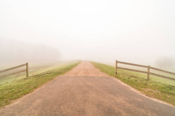 istock along the meadows there is a road with fog 1306423084