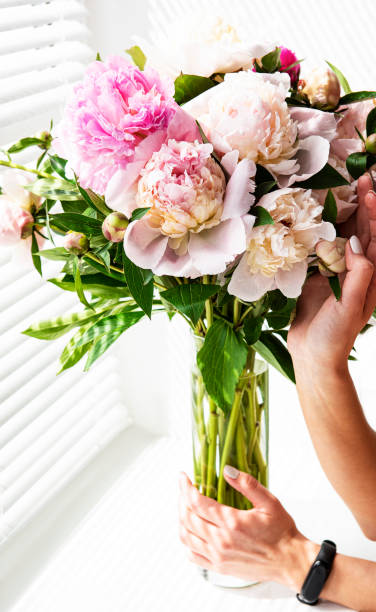 istock Beautiful pink peony bouquet in a vase. 1306428678