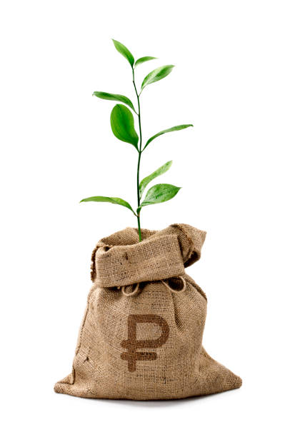 istock Money Tree/Money Bag with Russian Ruble 1306430435