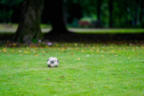soccer ball left in the park