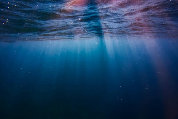 Foto de stock gratuita sobre agua, antecedentes, bajo el agua, bonito, fondo, fondo azul, fondo de escritorio, fondo de escritorio fresco, fondo de pantalla, fondo de pantalla 4k, fondo de pantalla azul, Foto de stock gratuita sobre agua, antecedentes, bajo el agua, bonito, fondo, fondo azul, fondo de escritorio, fondo de escritorio fresco, fondo de pantalla, fondo de pantalla 4k, fondo de pantalla azul,